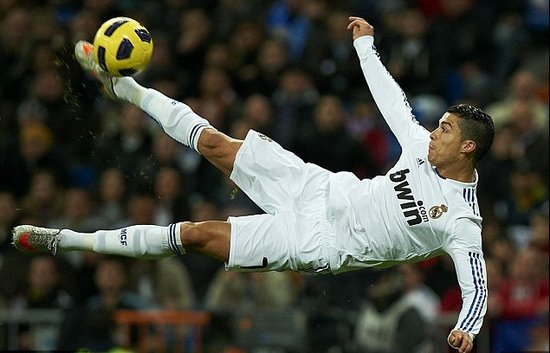 条目呈现 条目呈现